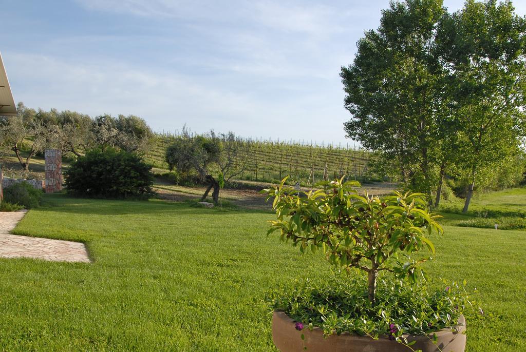 Agriturismo Arte Et Agricoltura ทุสคาเนีย ภายนอก รูปภาพ