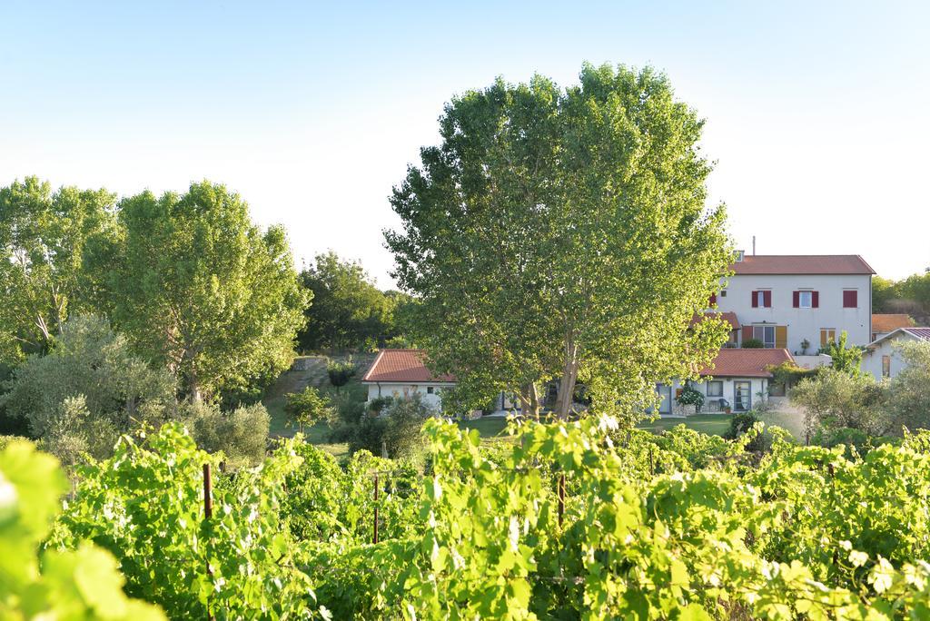 Agriturismo Arte Et Agricoltura ทุสคาเนีย ภายนอก รูปภาพ