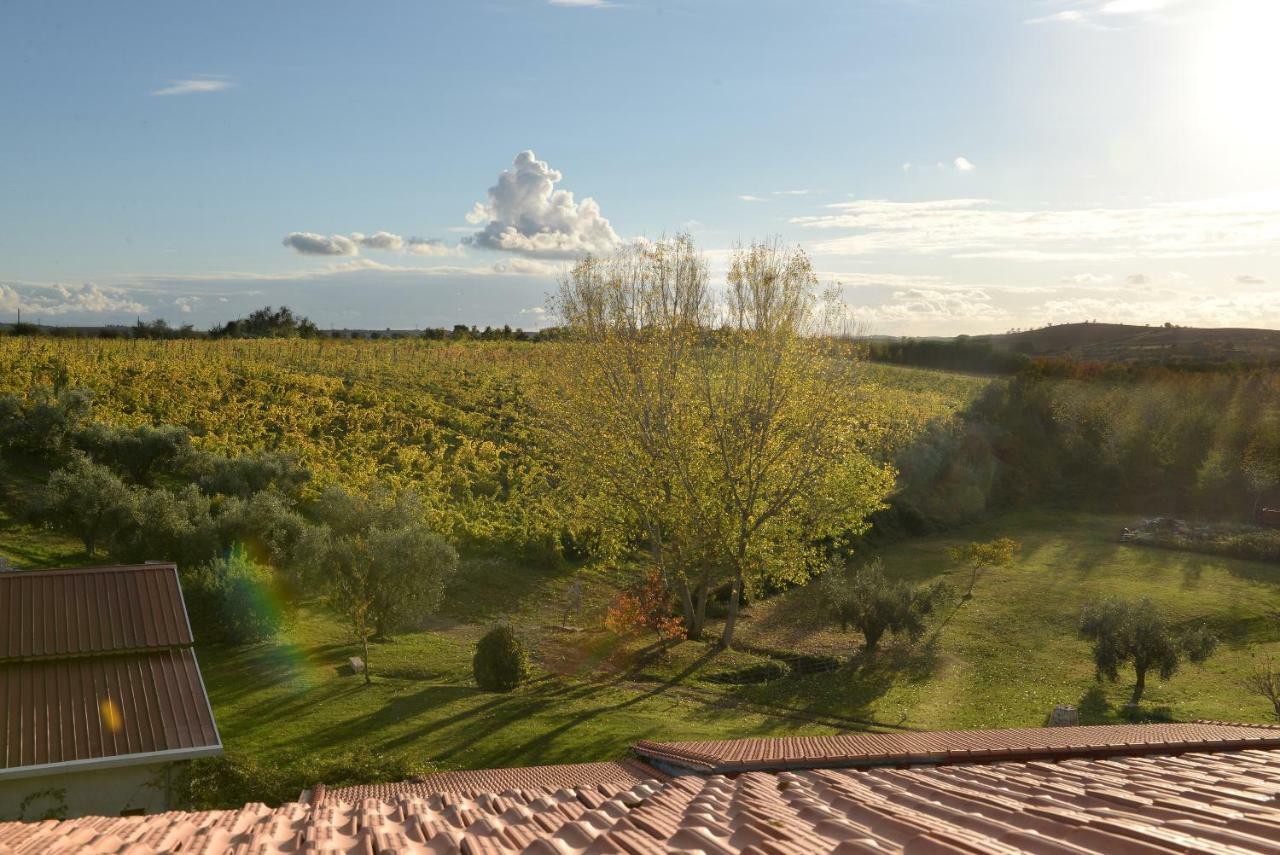 Agriturismo Arte Et Agricoltura ทุสคาเนีย ภายนอก รูปภาพ